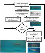 An application of fish detection based on eye search with artificial vision and artificial neural networks